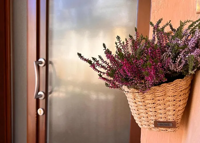 Appartamento In Centro Storico La Casa Di Cri Asti